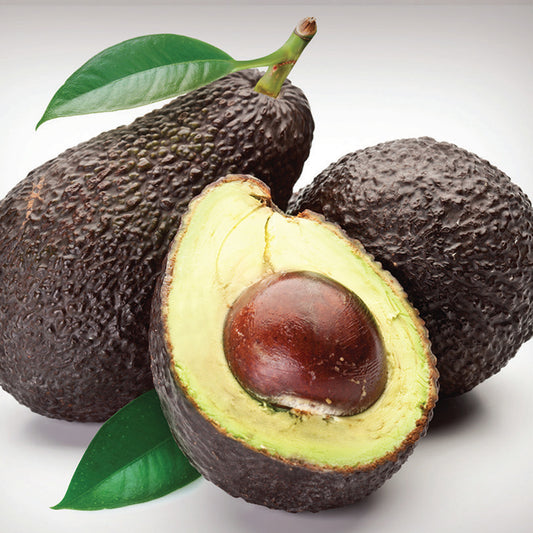 Hass Avocado