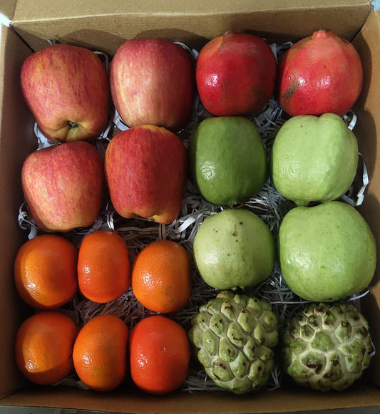 JOY Basket (4.5 to 5.5kg)